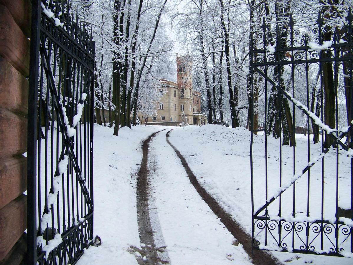 Palac Dabrowica Dabrowica  Bagian luar foto