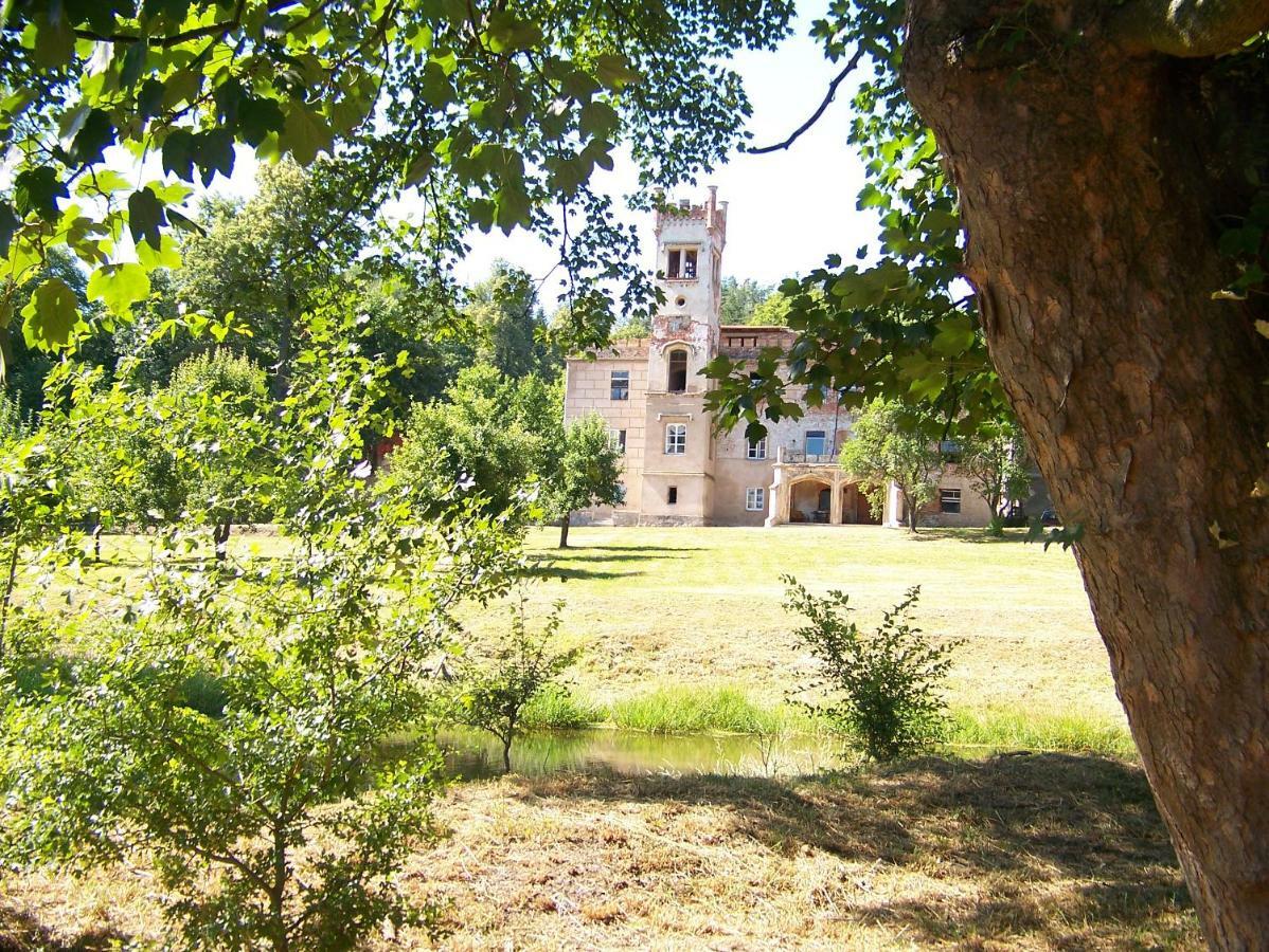 Palac Dabrowica Dabrowica  Bagian luar foto