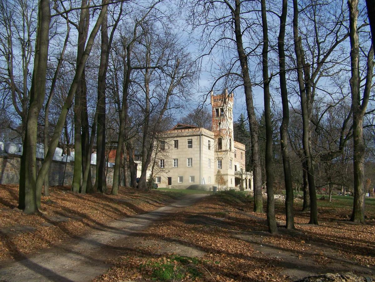 Palac Dabrowica Dabrowica  Bagian luar foto